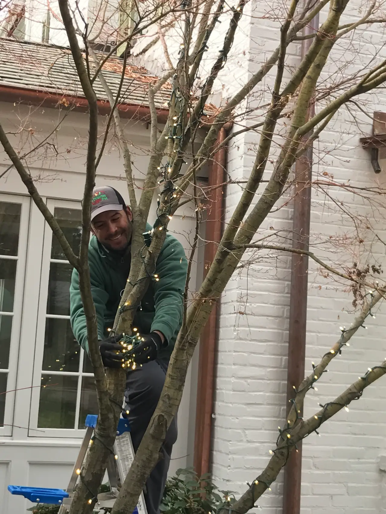 Ernesto Espinoza works among the branches of a tree beside a home.