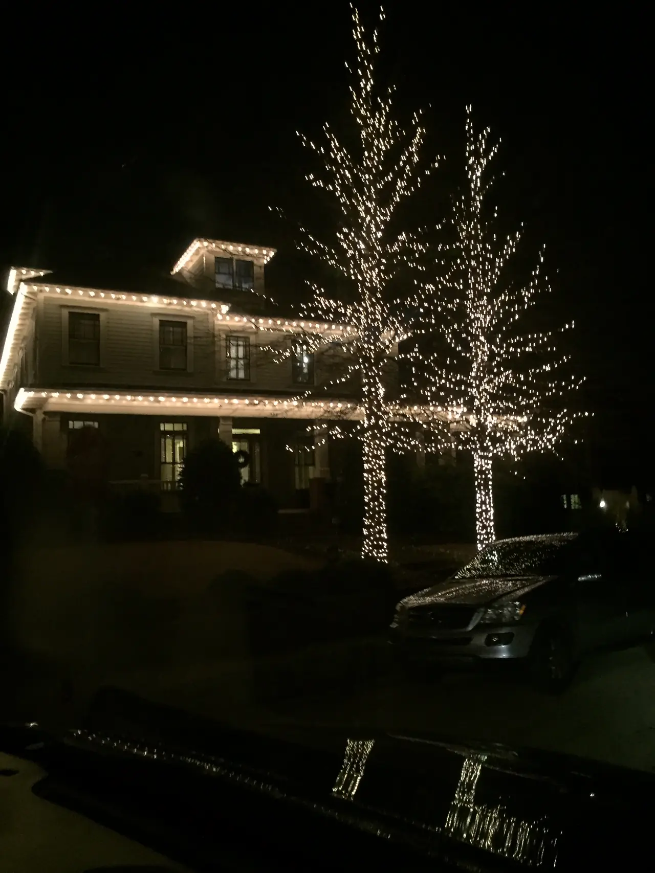 A tree wrapped in warm white lights stands beside an illuminated home.